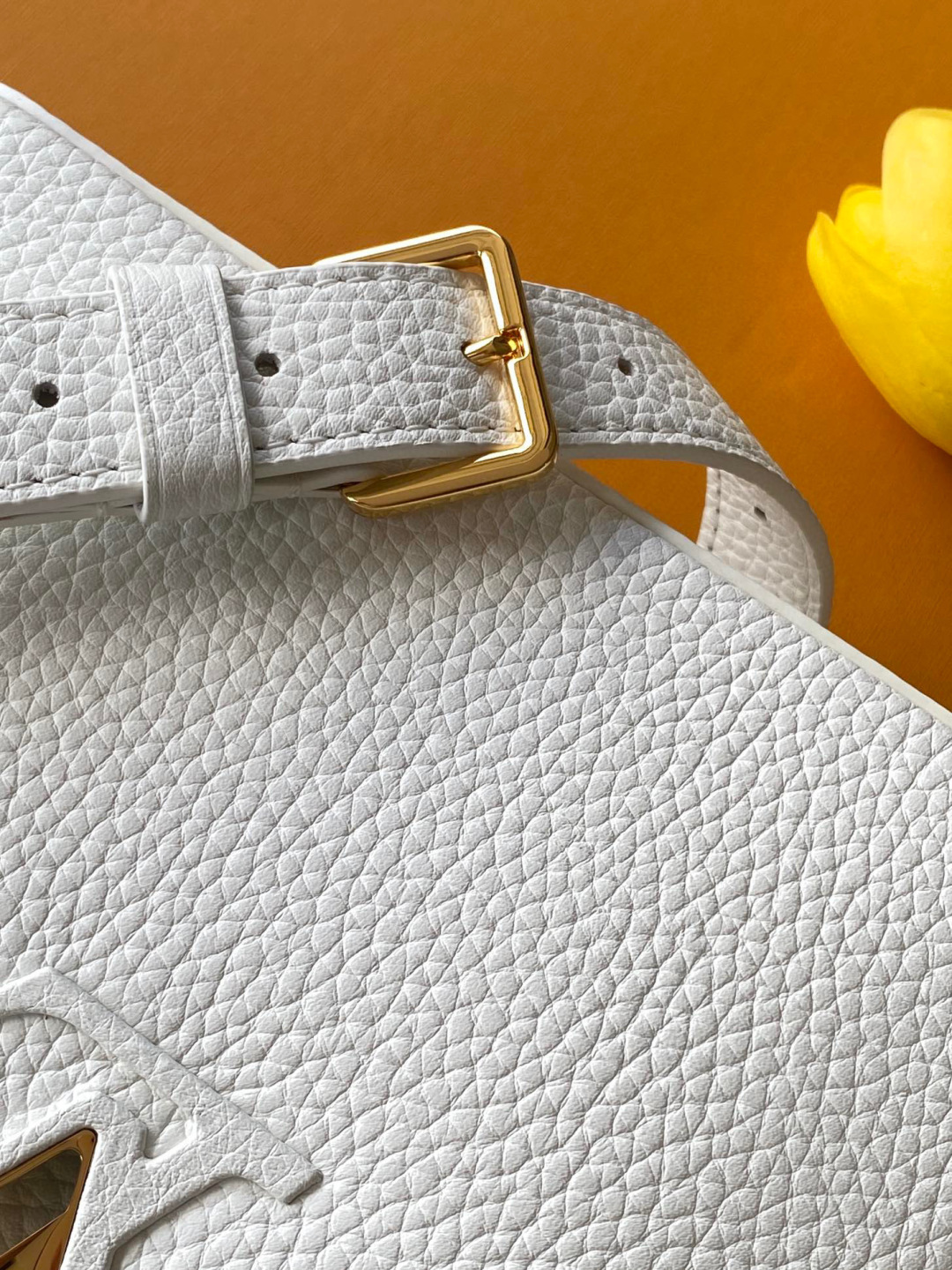 Louis Vuitton MB新版芯片