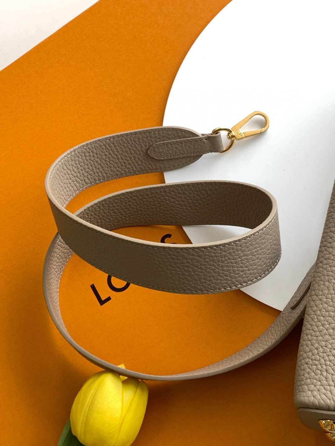 Louis Vuitton MB芯片版