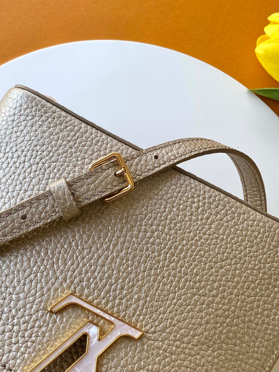 Louis Vuitton M22436 全钢五金 进口牛皮金属卡其金扣本款