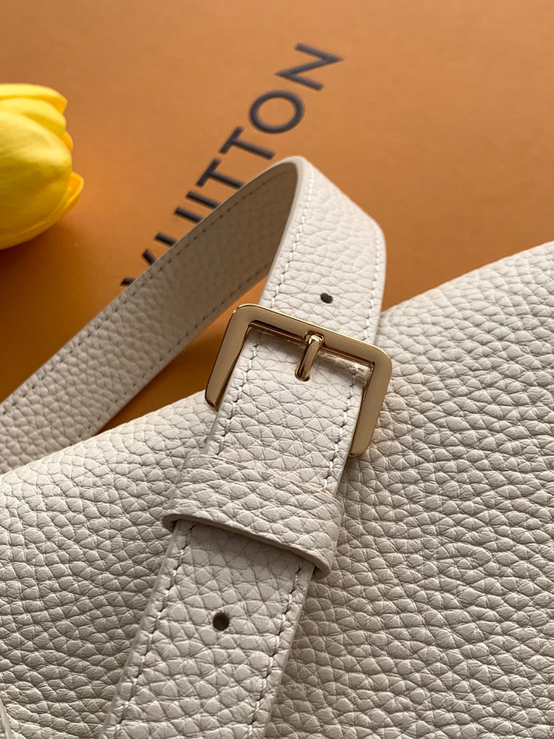 Louis Vuitton MB新版芯片
