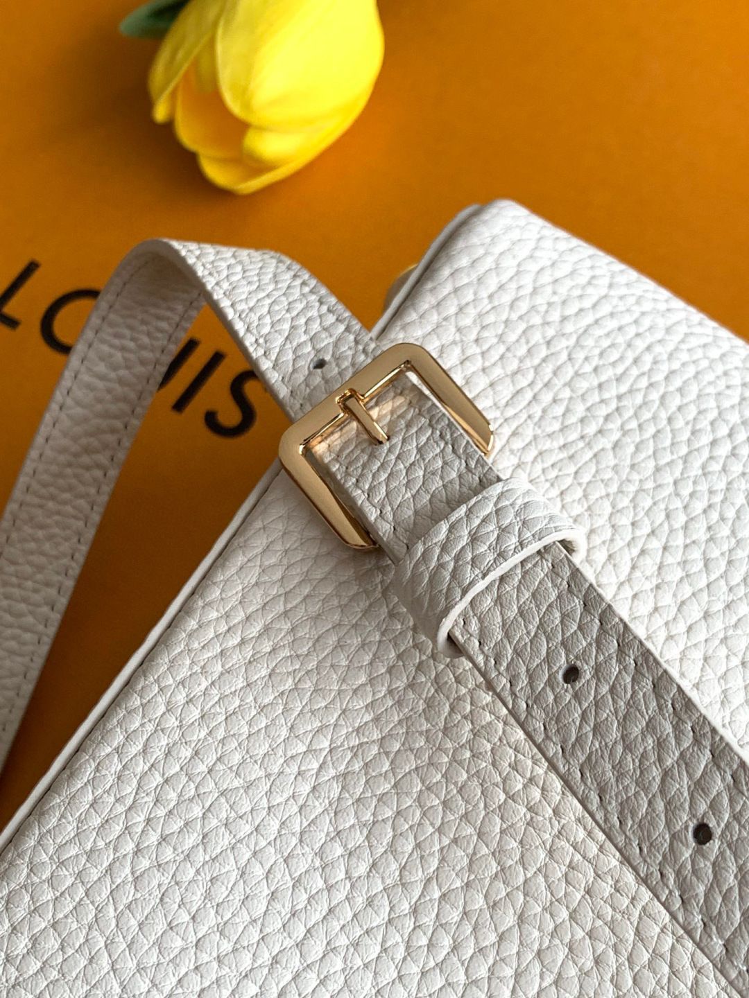 Louis Vuitton 全钢