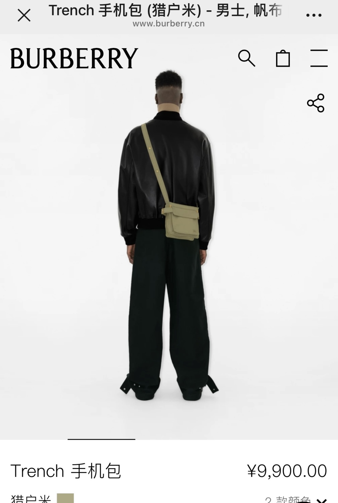 Burberry Official website picture