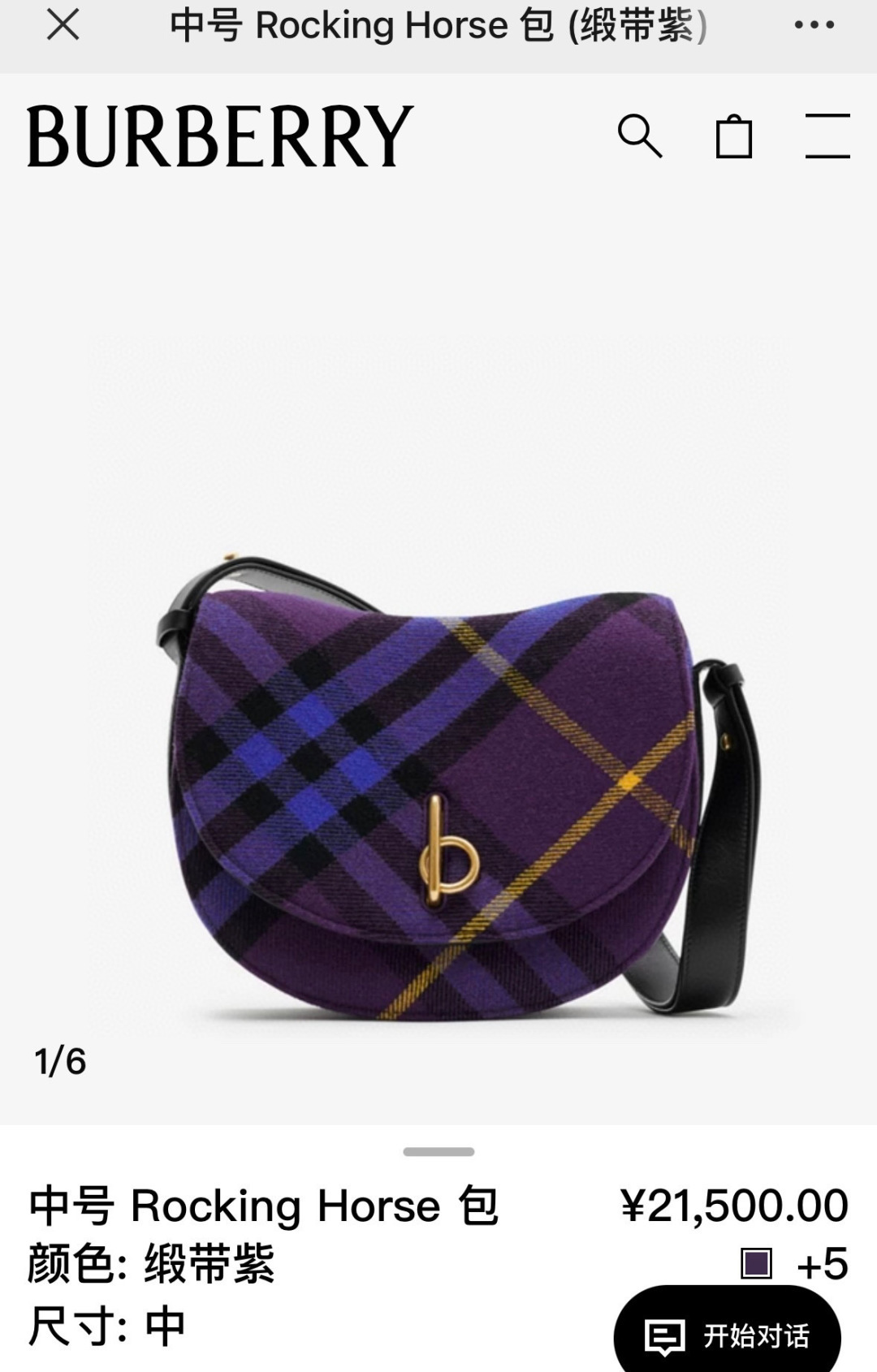 Burberry Official website picture