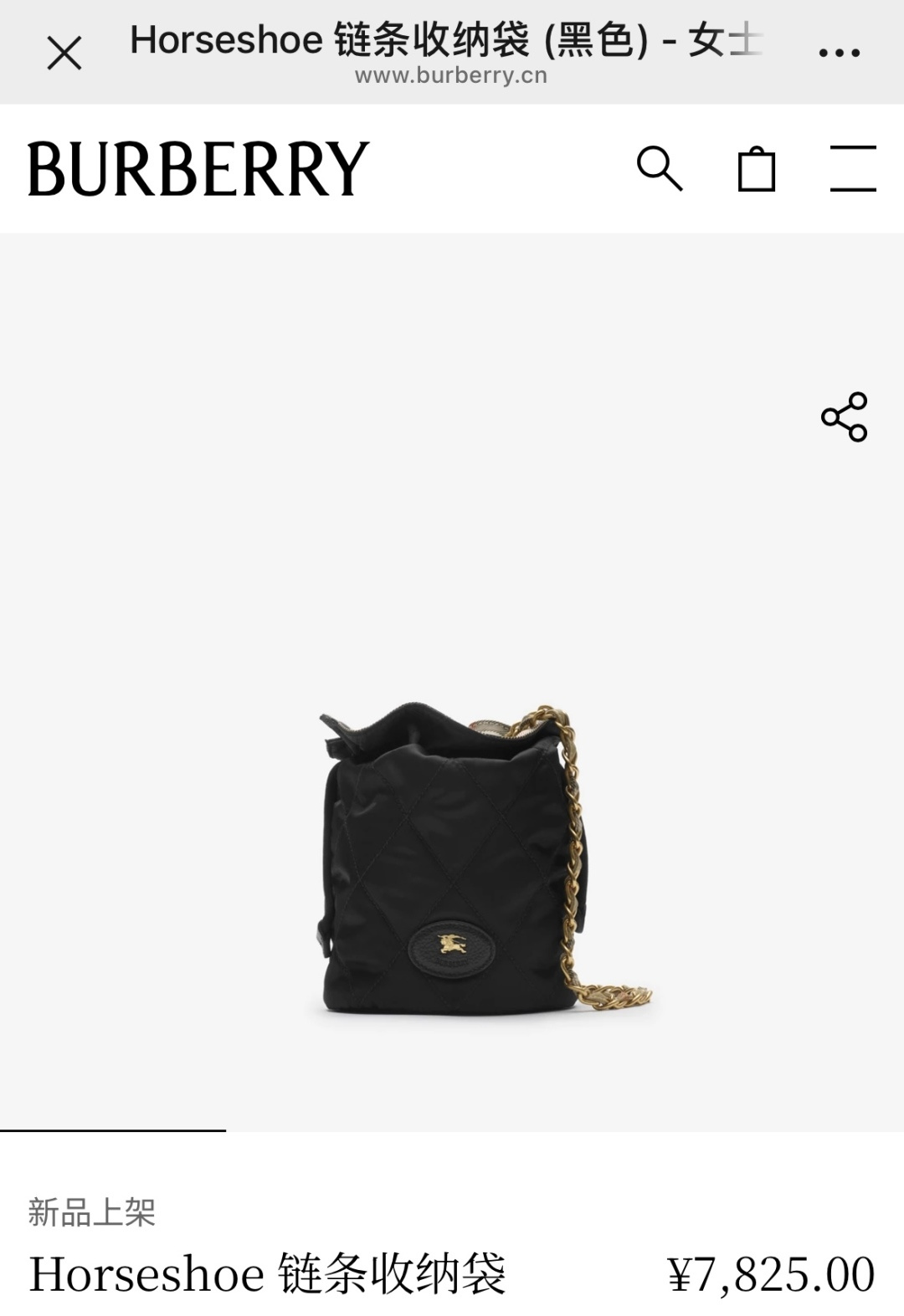 Burberry Horseshoe chain storage bag
