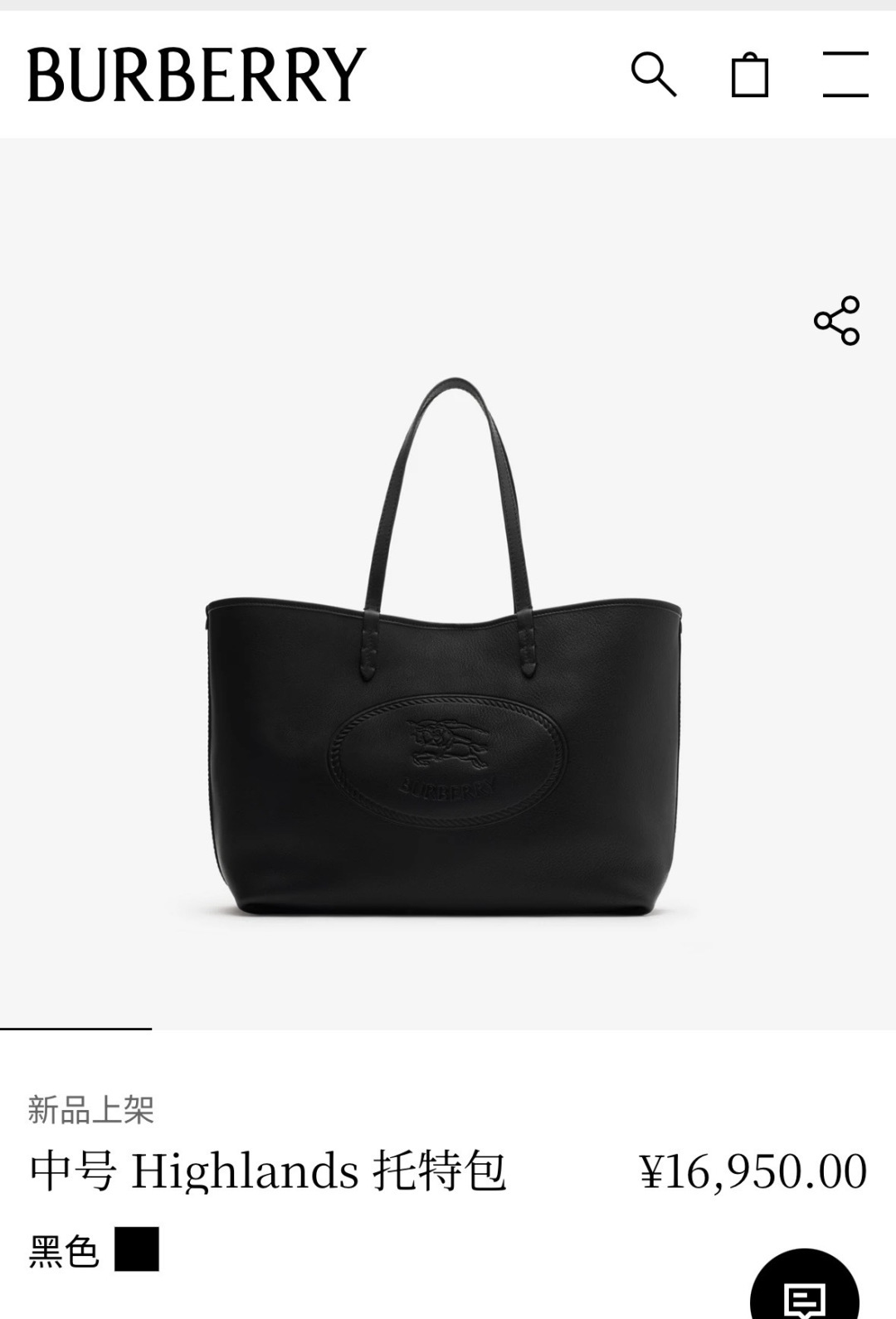 Burberry Authentic picture