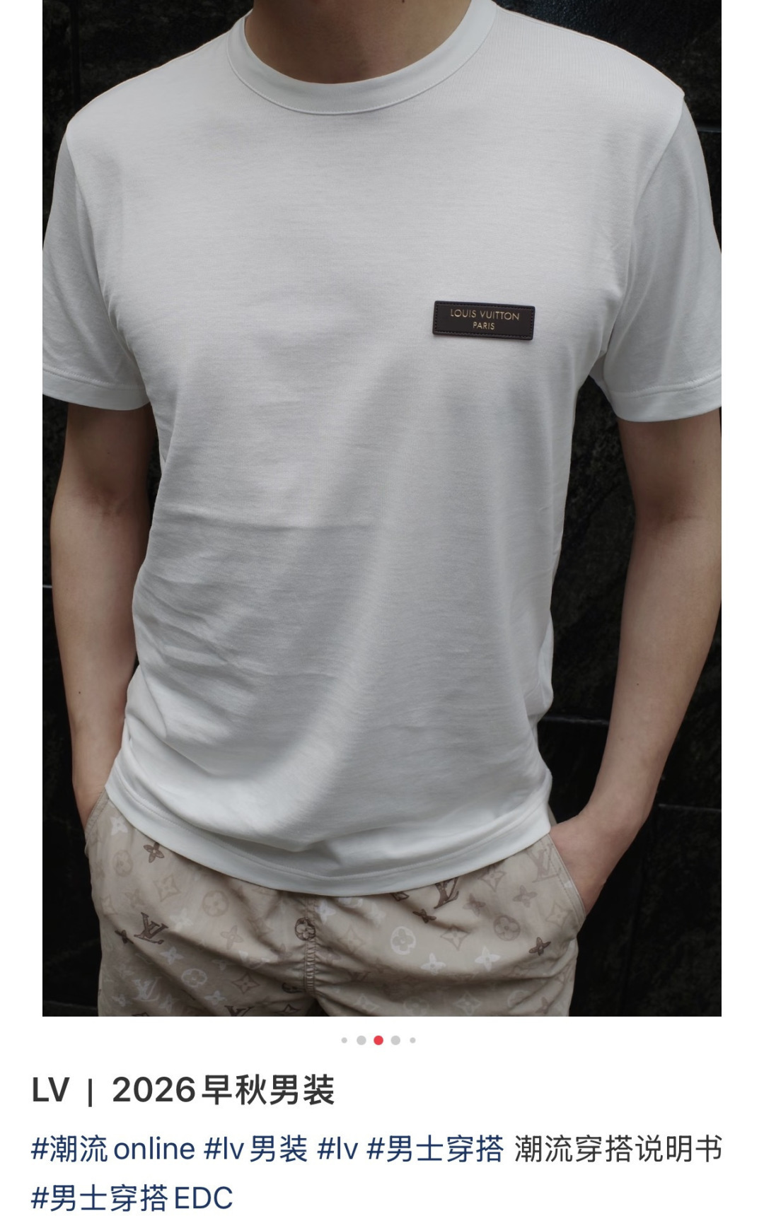 루이비통 남성 반팔 143339 Louis Vuitton T Shirt 상세 이미지 2