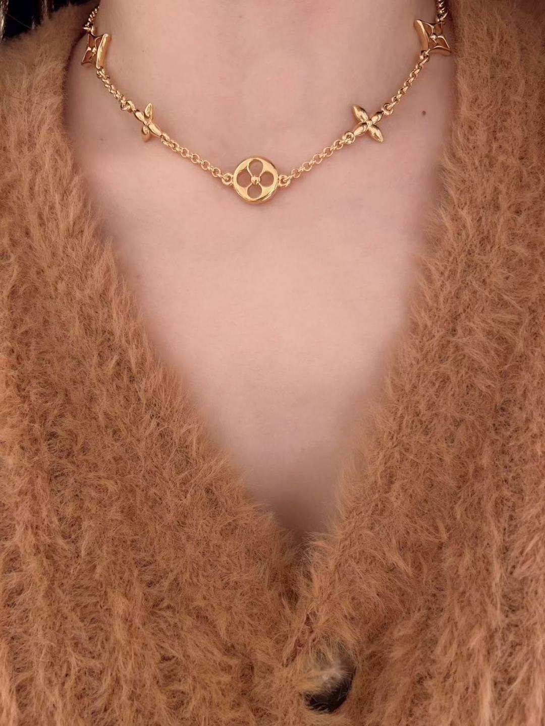 [Louis Vuitton Jewelry]