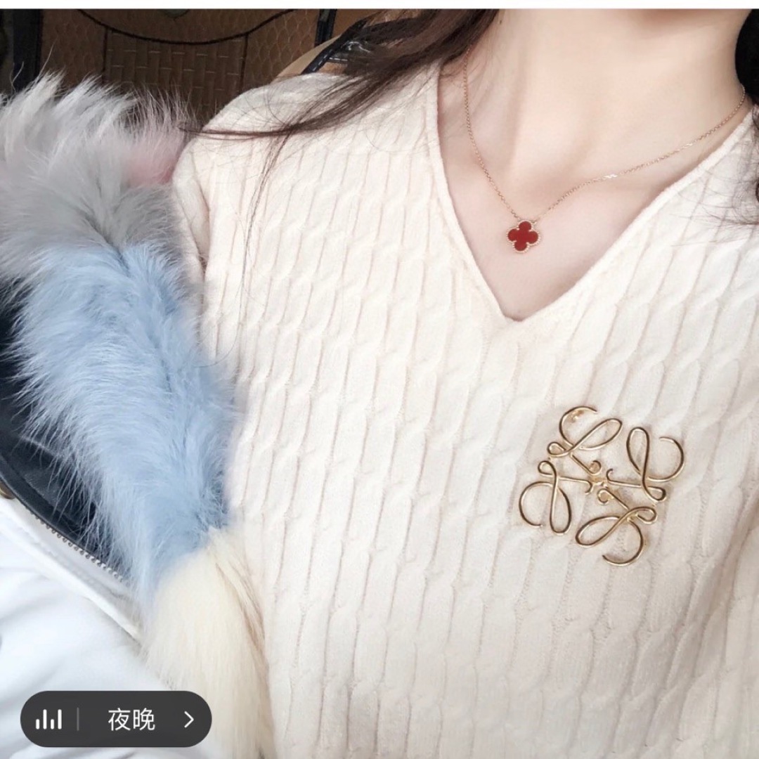p75【我们出品】量大咨询客Fu

 L0EWE，罗威胸针，一致ZP黄铜材质，细节完美复刻，标配给你们啥标配😎😎
这款非常适合日常任何穿搭👍🏻👍🏻
