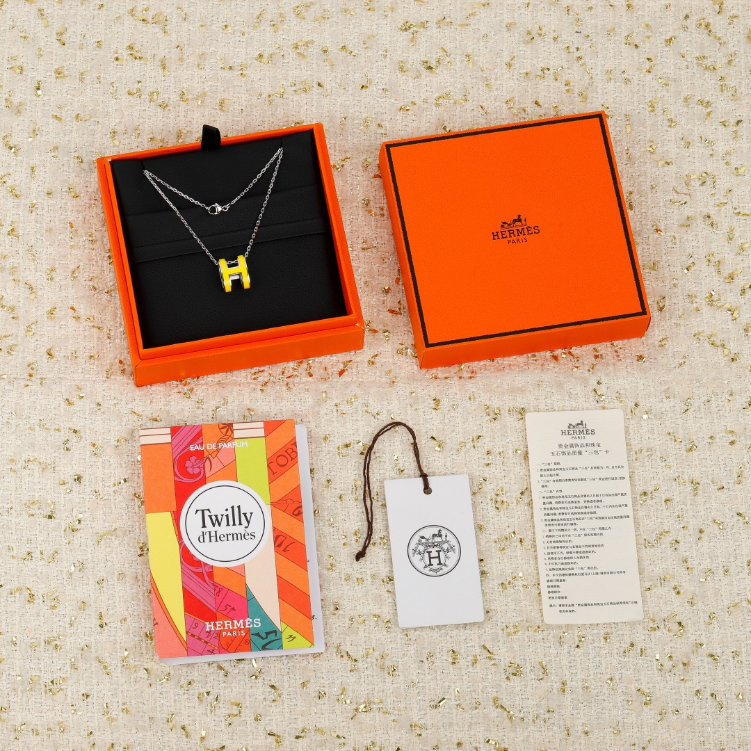 HERMES Necklace Silver Chain H Pendant Enamel