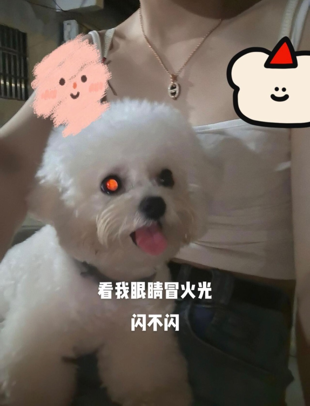【】猪鼻子项链 官网5600，   可订做18K真金真钻版，只做对版真金货，价询客Fu

【猪鼻子🐽滴油