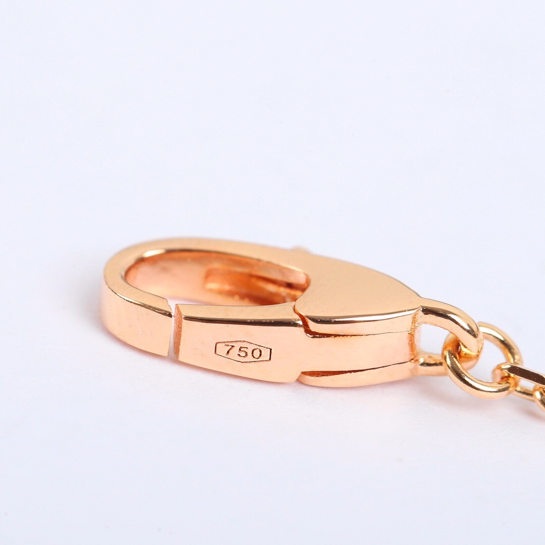 BVLGARI Diva Necklace: Red Agate & 925 Sterling Silver with Gold Plating 6 cmp i1755362830794 1806 0 5