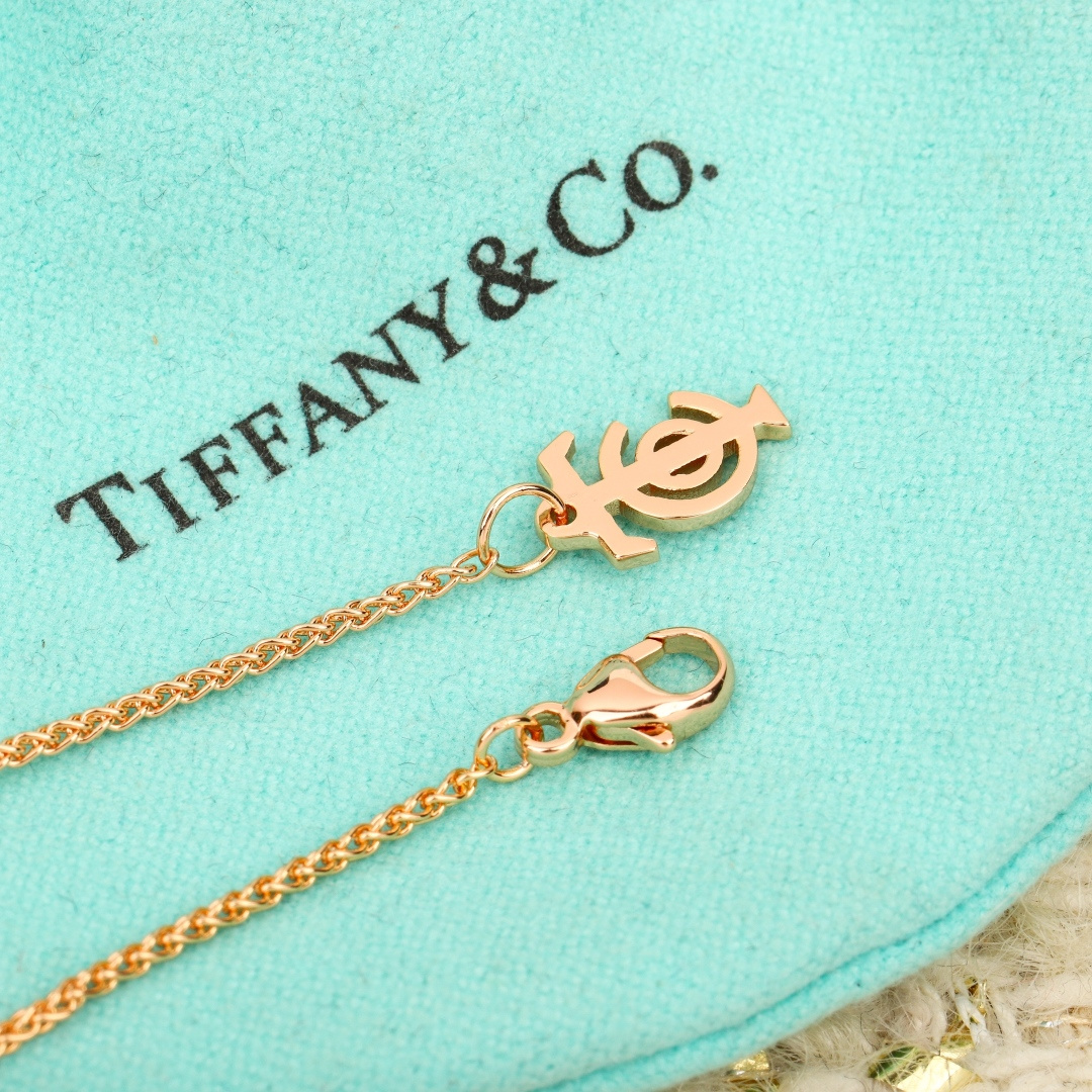 【】钥匙项链，可订做真金真钻版，只做对版真金货，价询客Fu表达爱意的无限可能。这款作品从蒂芙尼经典绳索图