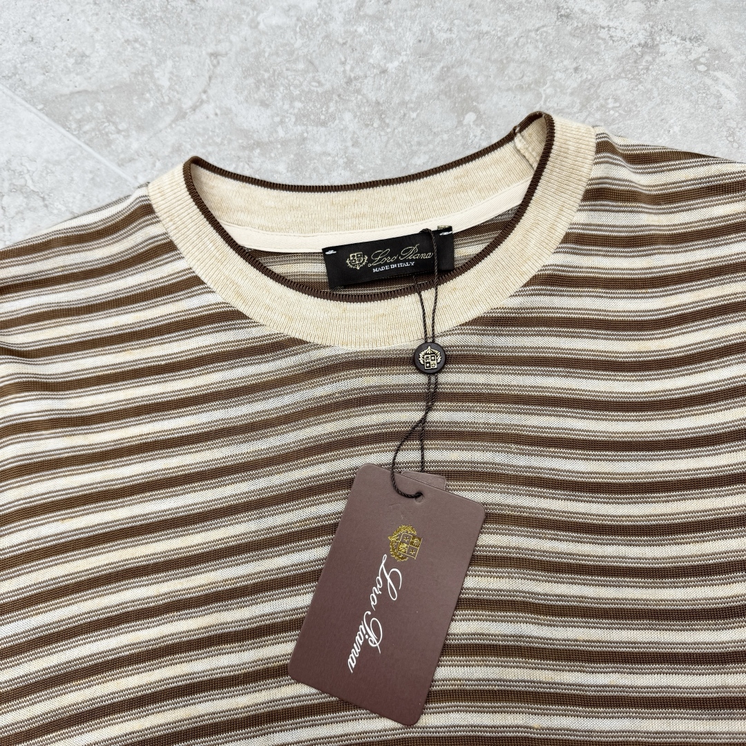 Loro Piana Striped Jersey Knit Short Sleeve Crew Neck T-Shirt 5 cmp i1748587806763 890 0 4