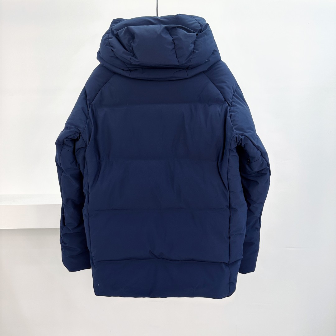 Dior x Descente Outdoor Skating Puffer Jacket - Stylish and Functional Coat 4 cmp a1755680321098 8716