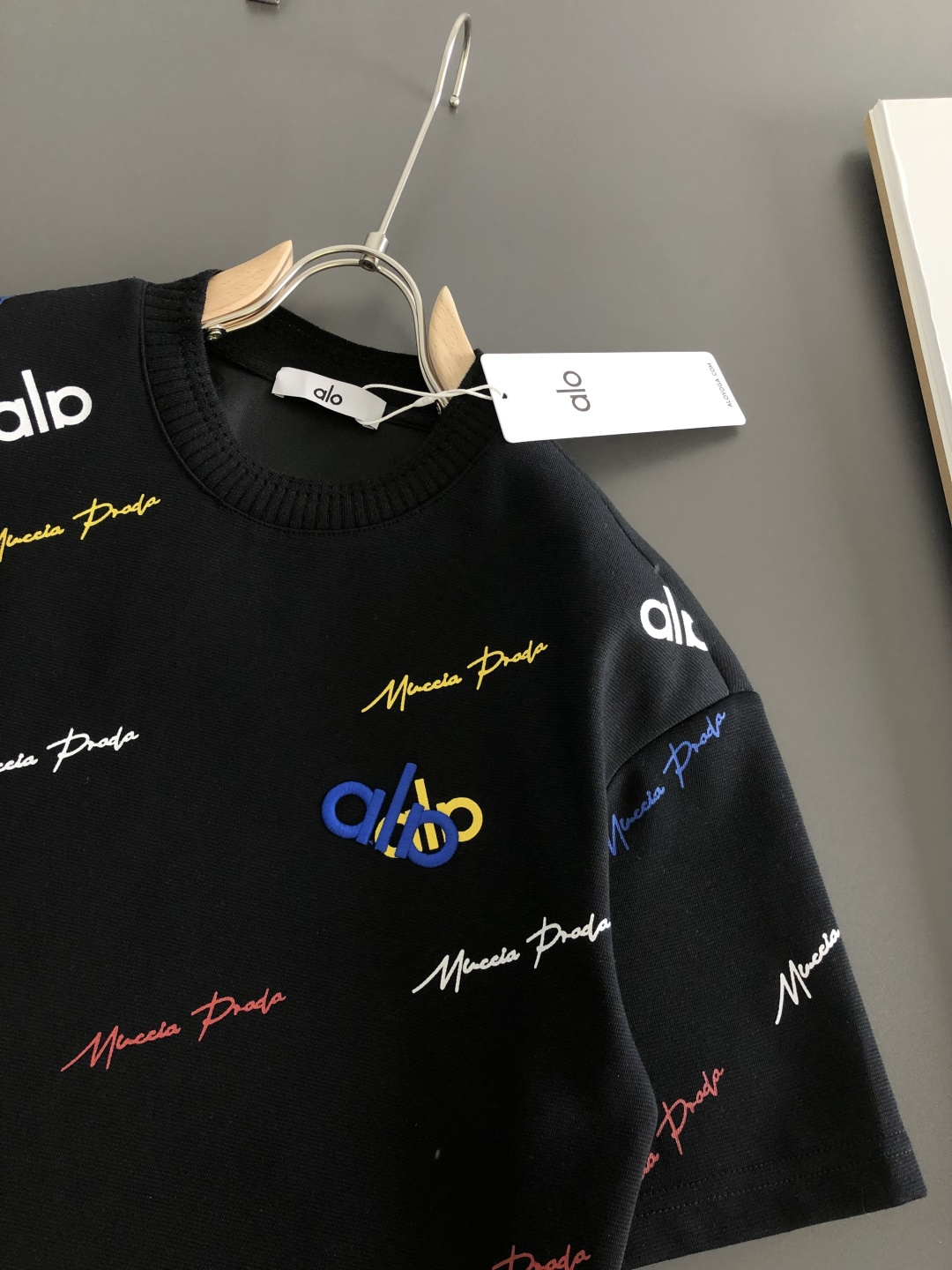 alo 2026SS早春新款圆领T恤，定织定染纯棉300克重洗水面料，做工精细。男女同款宽松落肩版型，时