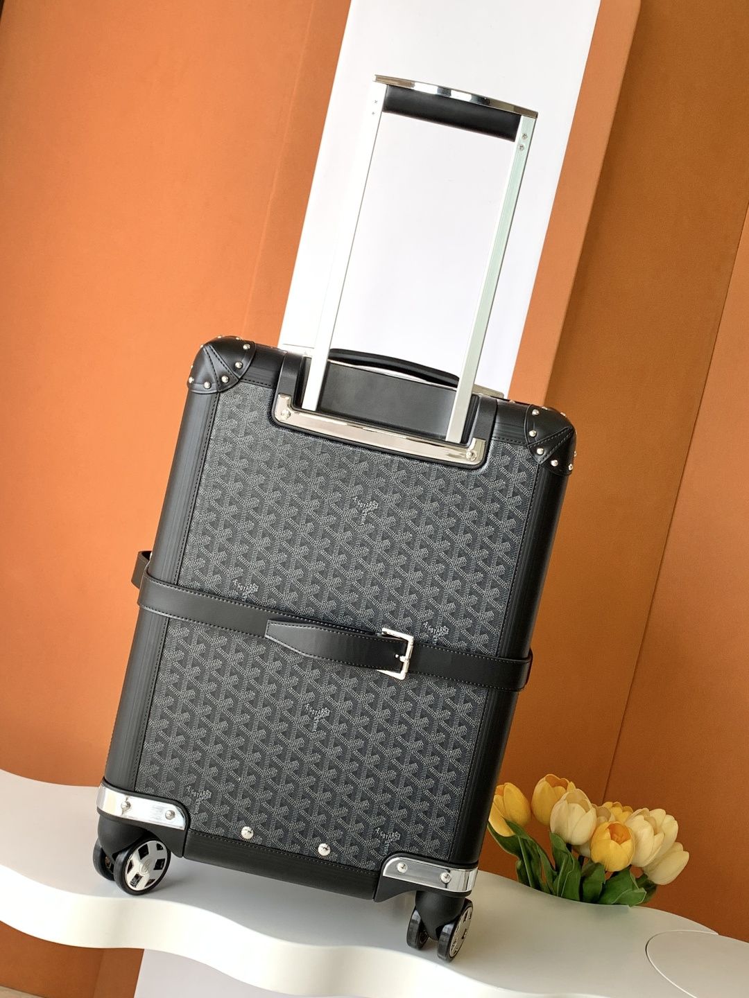 Goyard suitcase Black travel