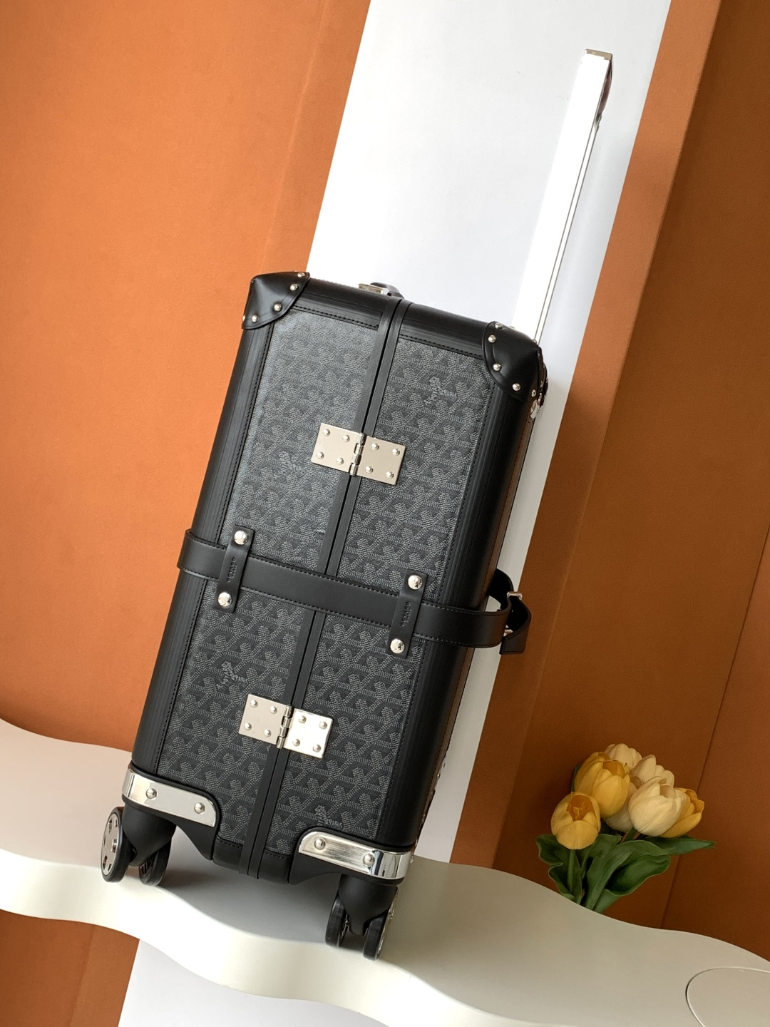 Goyard suitcase Black travel