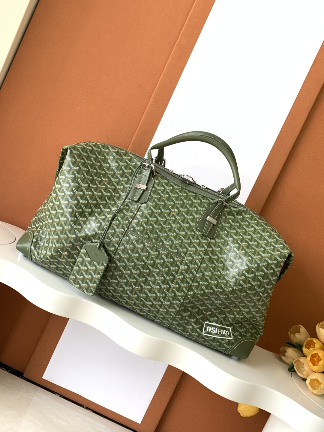 Goyard Boeing travel bag avocado color handbag