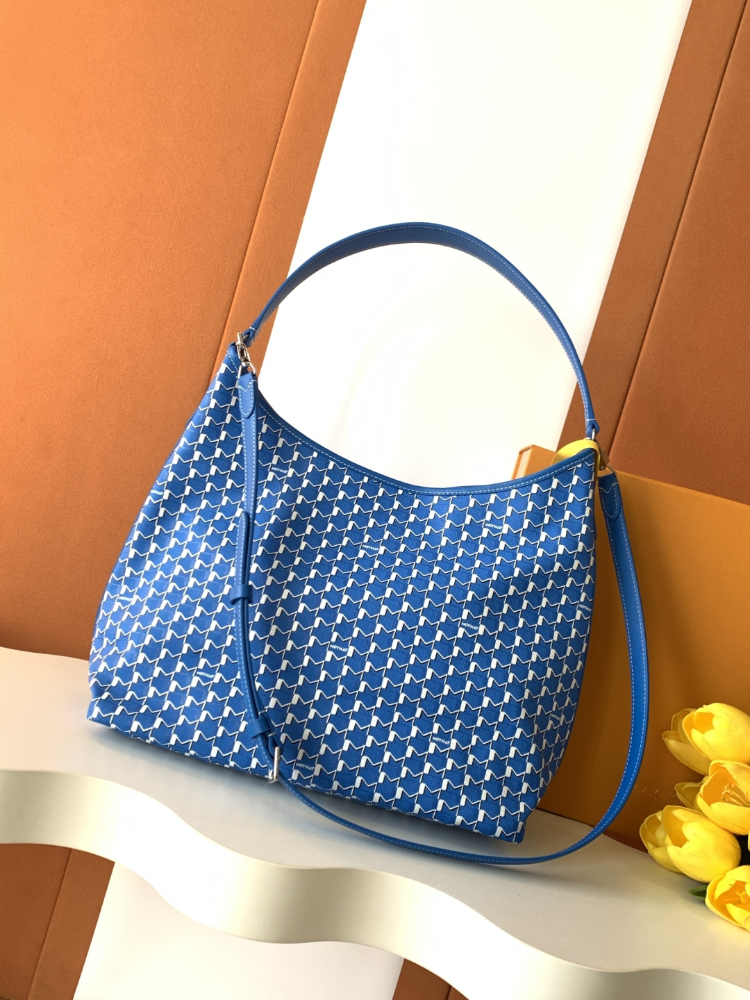 Goyard Moynat Hobo