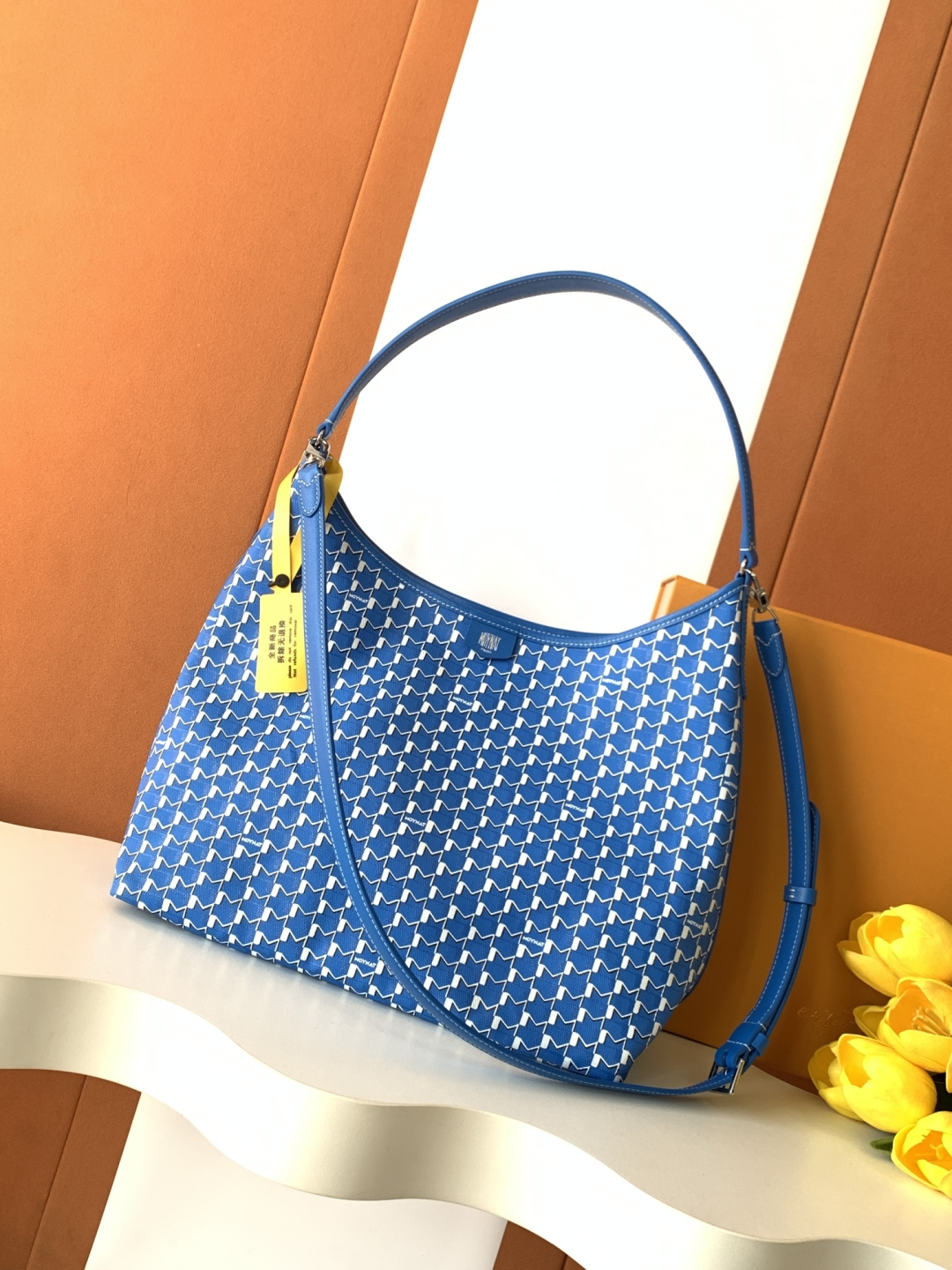 Goyard Moynat Hobo