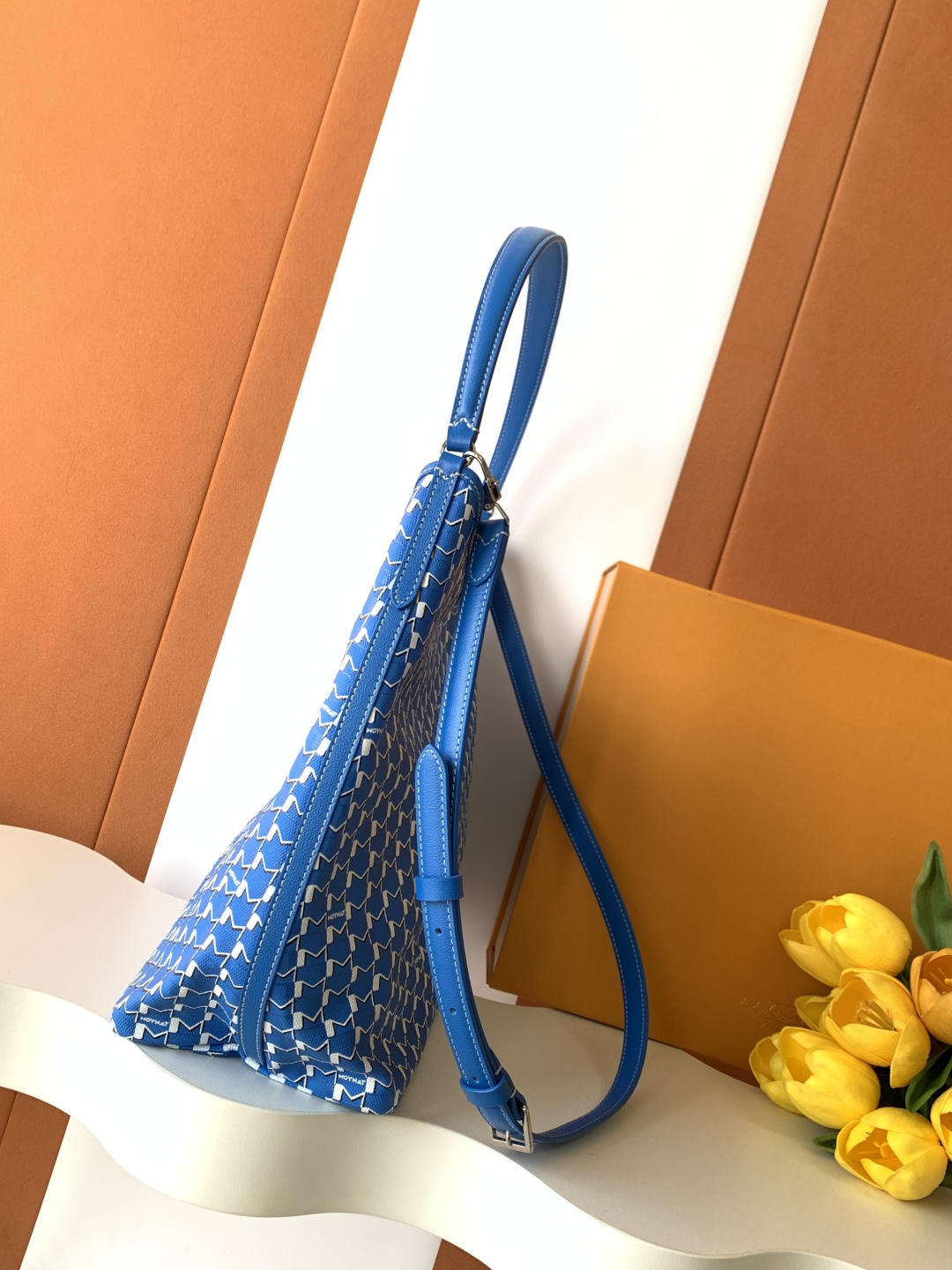 Goyard Moynat Hobo