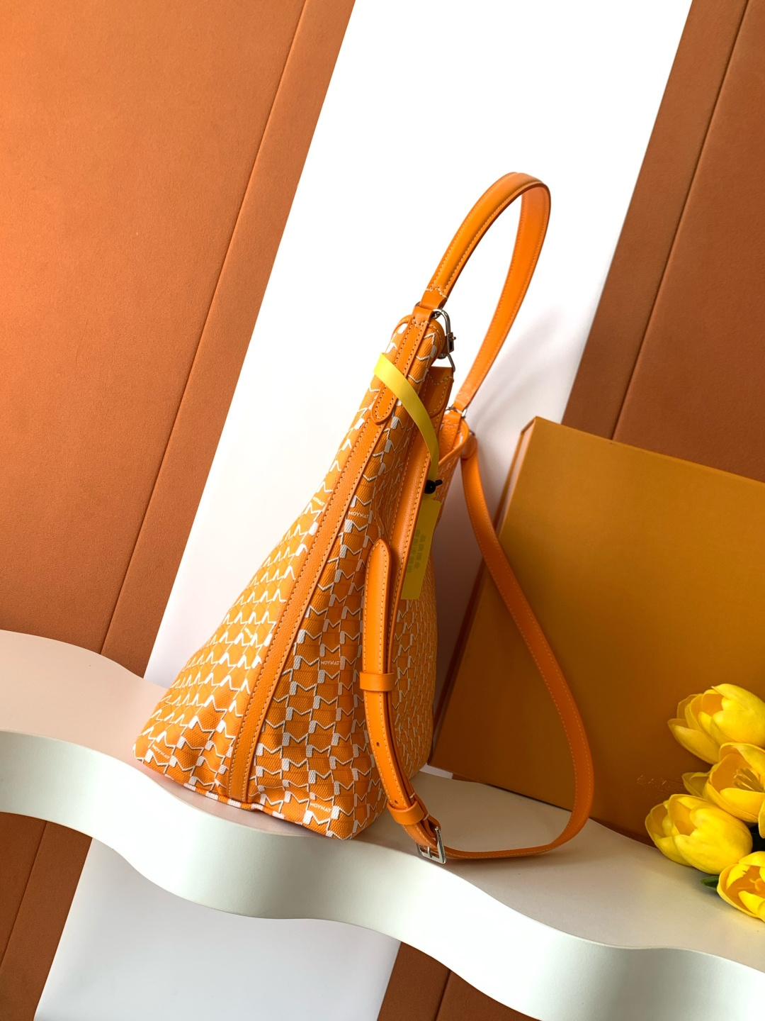 Goyard Moynat Hobo