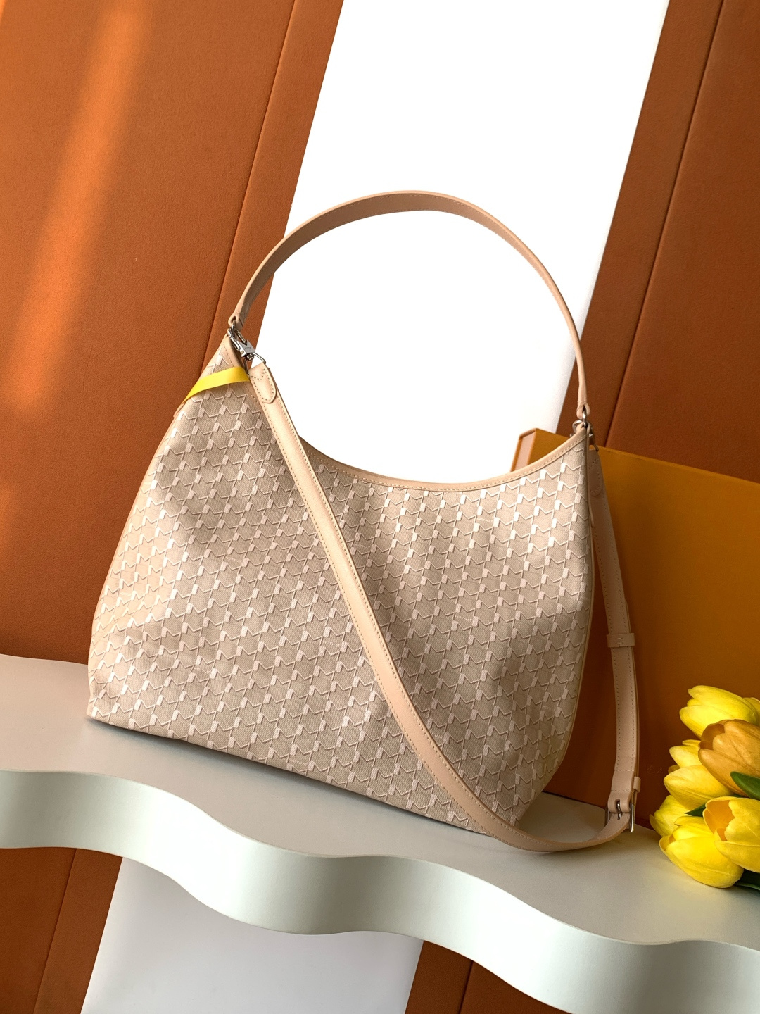 Goyard Moynat Hobo