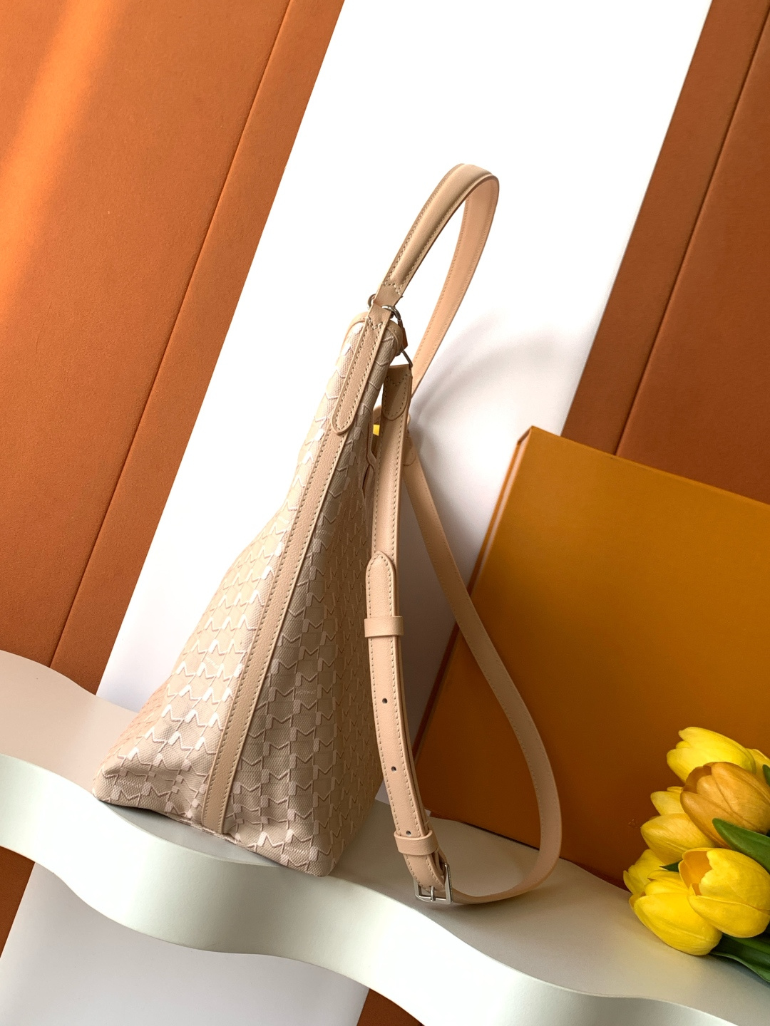 Goyard Moynat Hobo