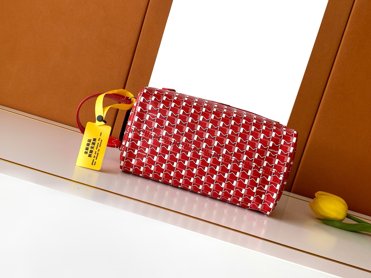 Goyard MOYNAT 洗漱包 M Canvas 日常造型搭配满分加分的一款 生活防水袋