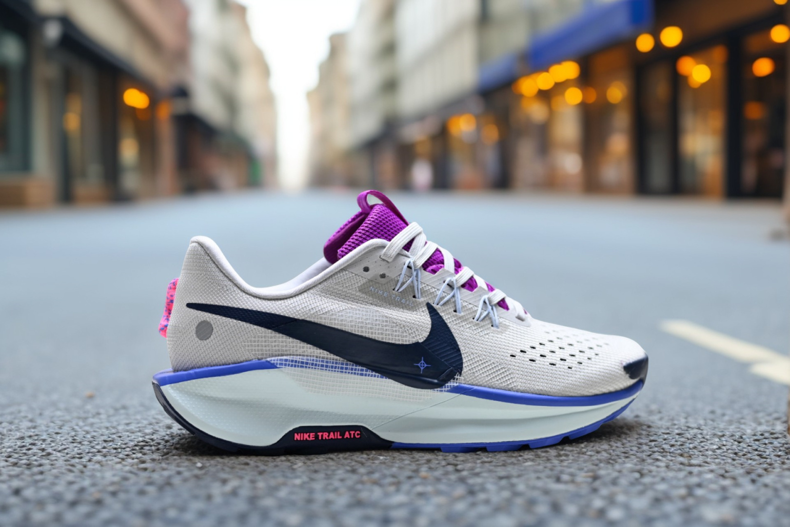 Nike Reactx Pegasus Trail 5 – DV3865-011