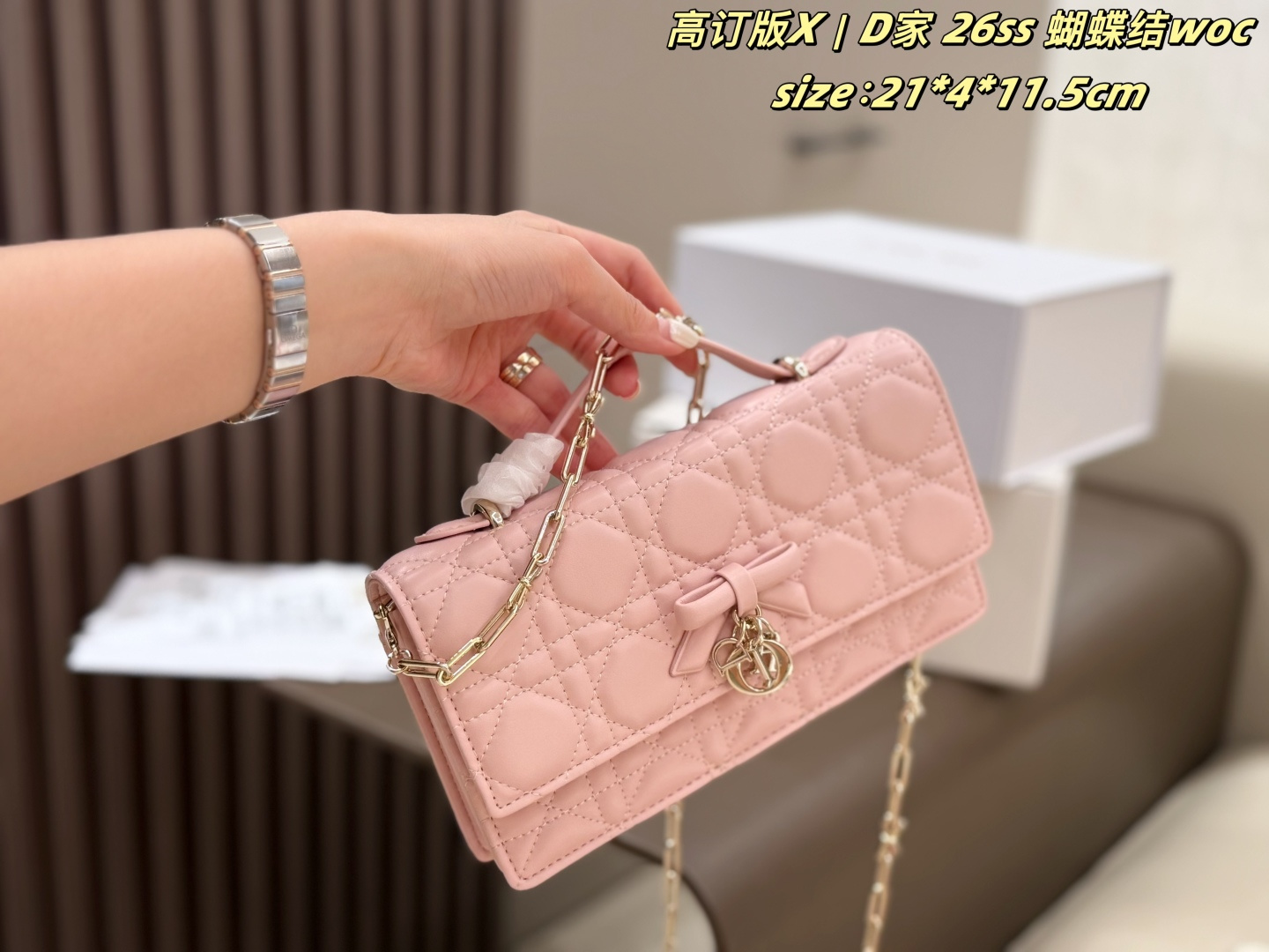 Dior tas D 26ss woc — photo 8