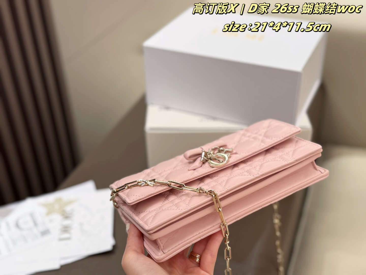 Dior tas D 26ss woc — photo 7