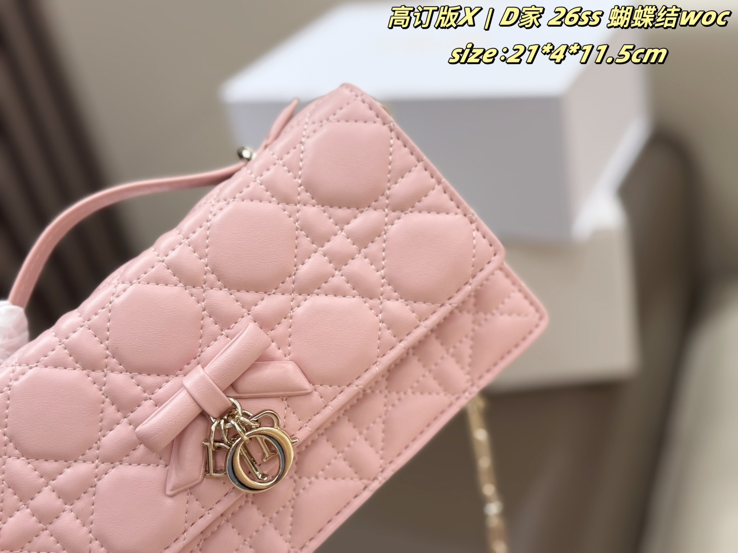 Dior tas D 26ss woc — photo 6