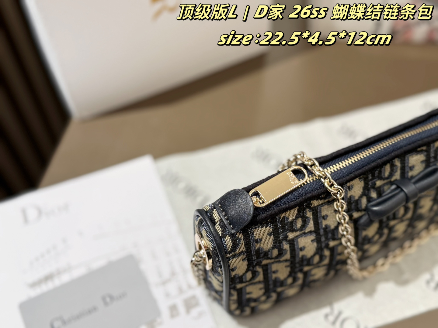 Dior Oblique 22 5 4 5 12cm crossbody everyday
