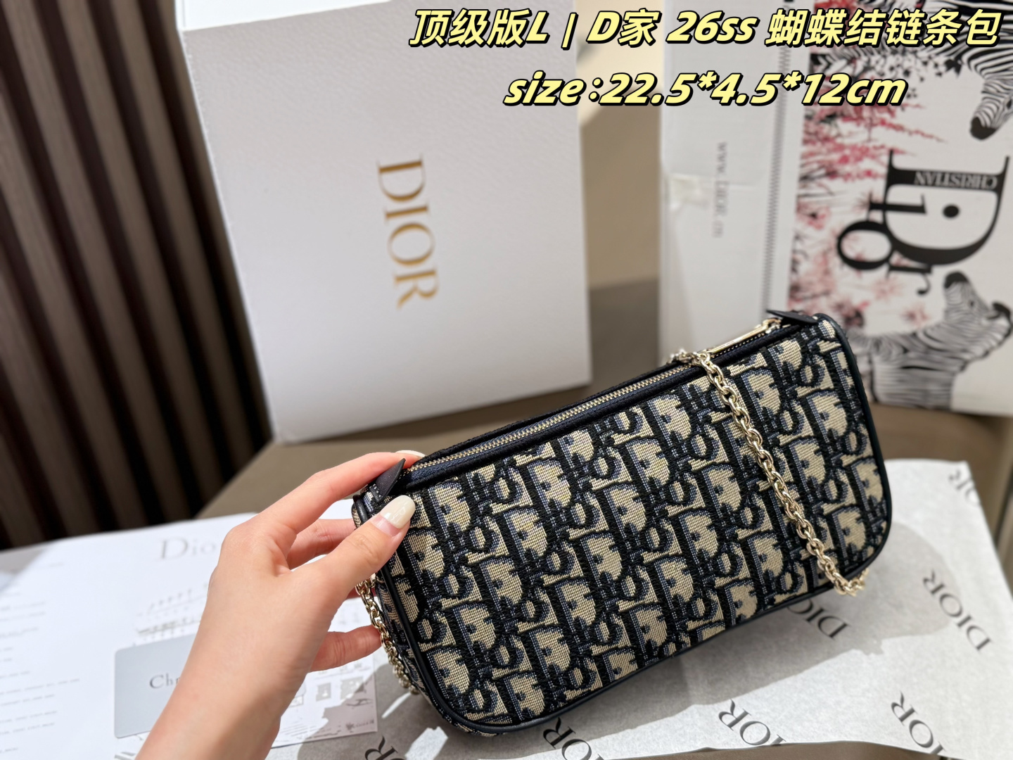 Dior Oblique 22 5 4 5 12cm crossbody everyday