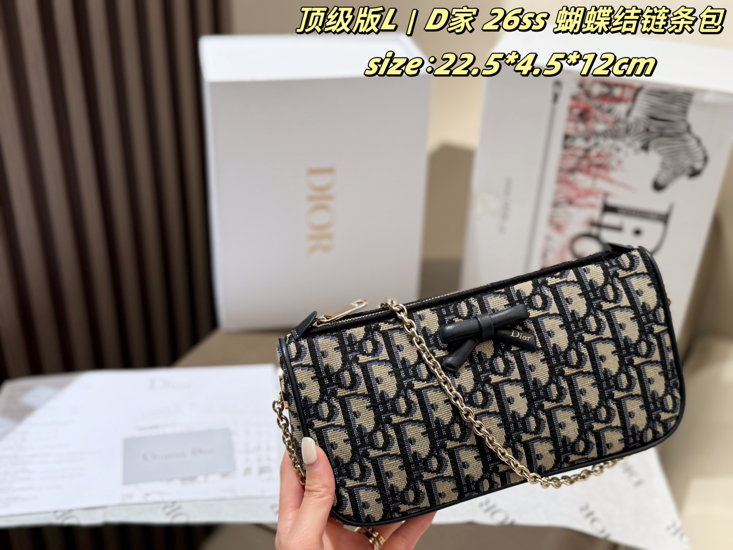 Dior Oblique 22 5 4 5 12cm crossbody everyday