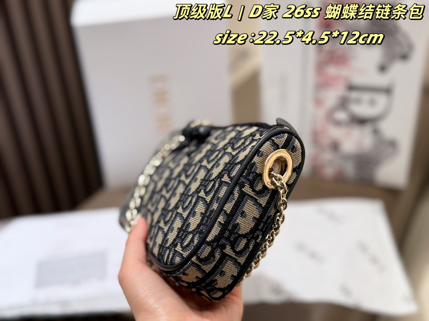 Dior Oblique 22 5 4 5 12cm crossbody everyday