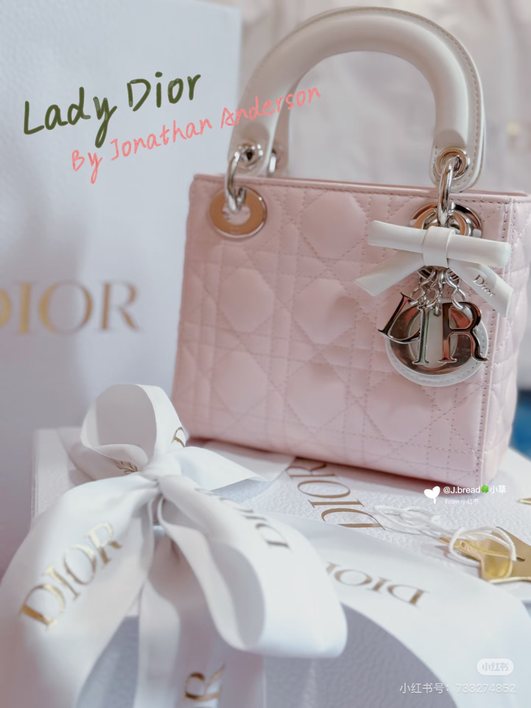 Dior Lady Pink handheld everyday
