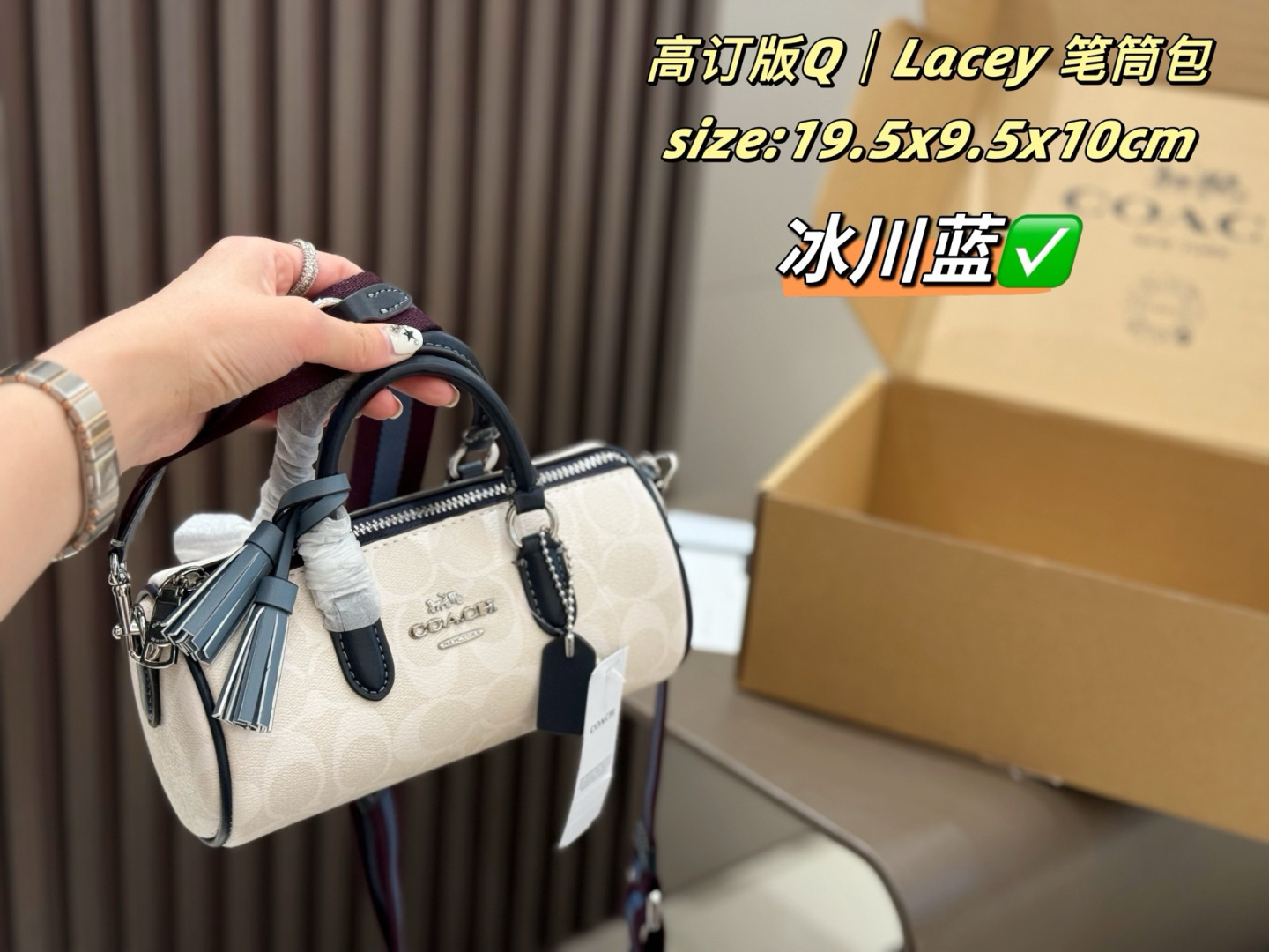 Coach Lacey Array 19 5x9 5x10cm crossbody