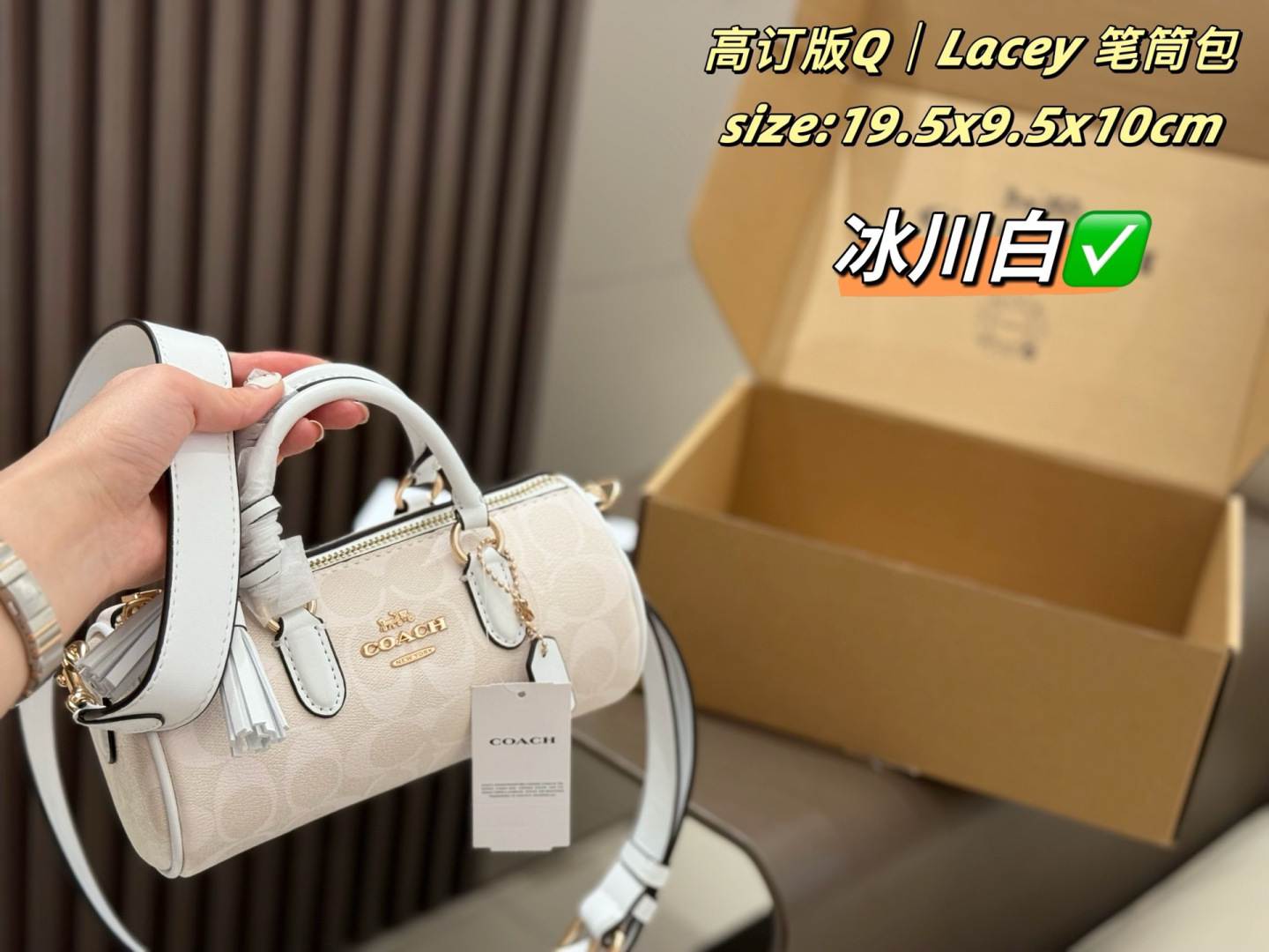 Coach Lacey Array 19 5x9 5x10cm crossbody