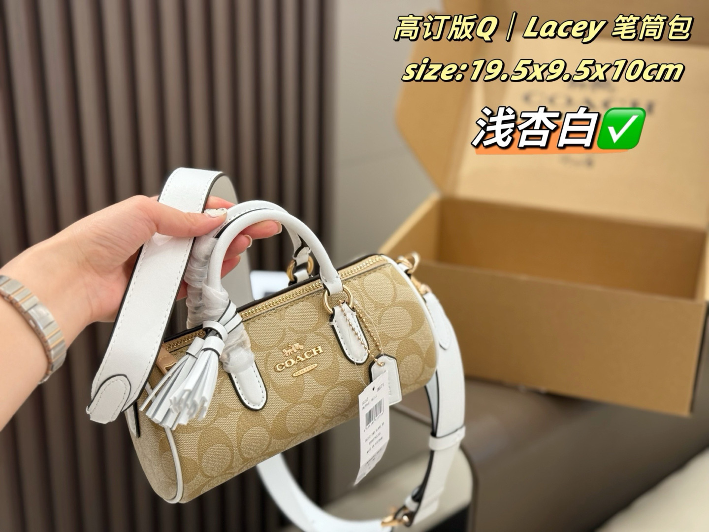 Coach Lacey Array 19 5x9 5x10cm crossbody
