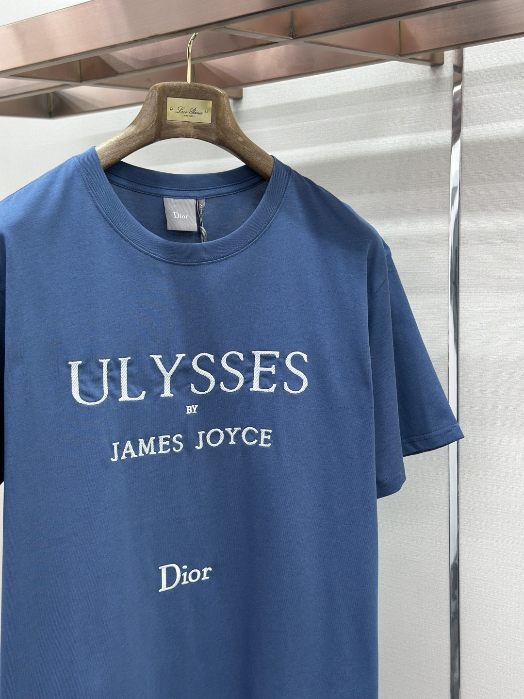 Dior DIOR迪奥 26ss新款T 恤是乔纳森·安德森 (Jonathan Anderson) 梦幻图书馆藏中的 单品