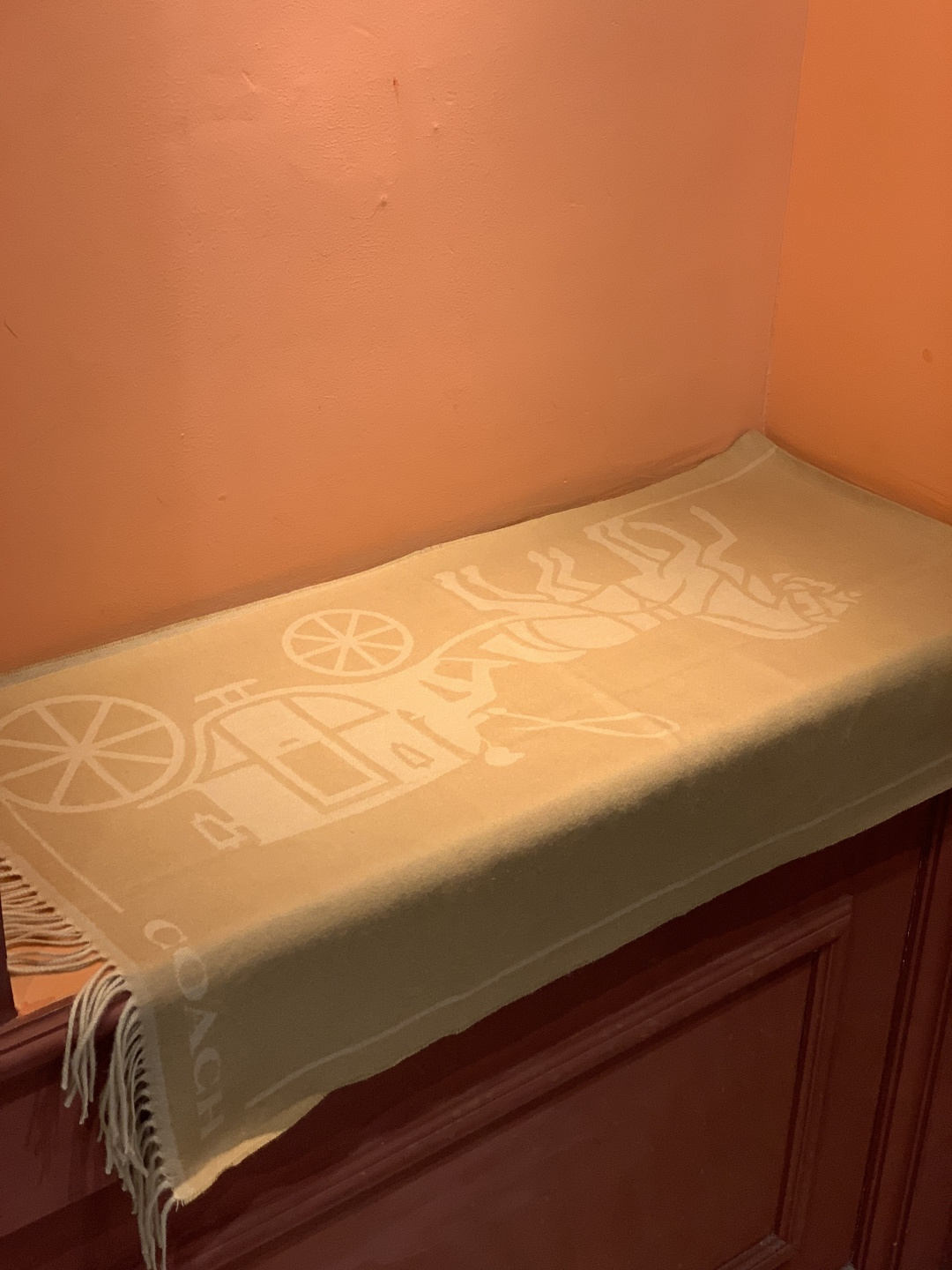 蔻驰 2025年新款到！Coach爆款！披肩也太好看了吧！不仅有颜值还有品质，手感超级软糯和舒服，尺寸1