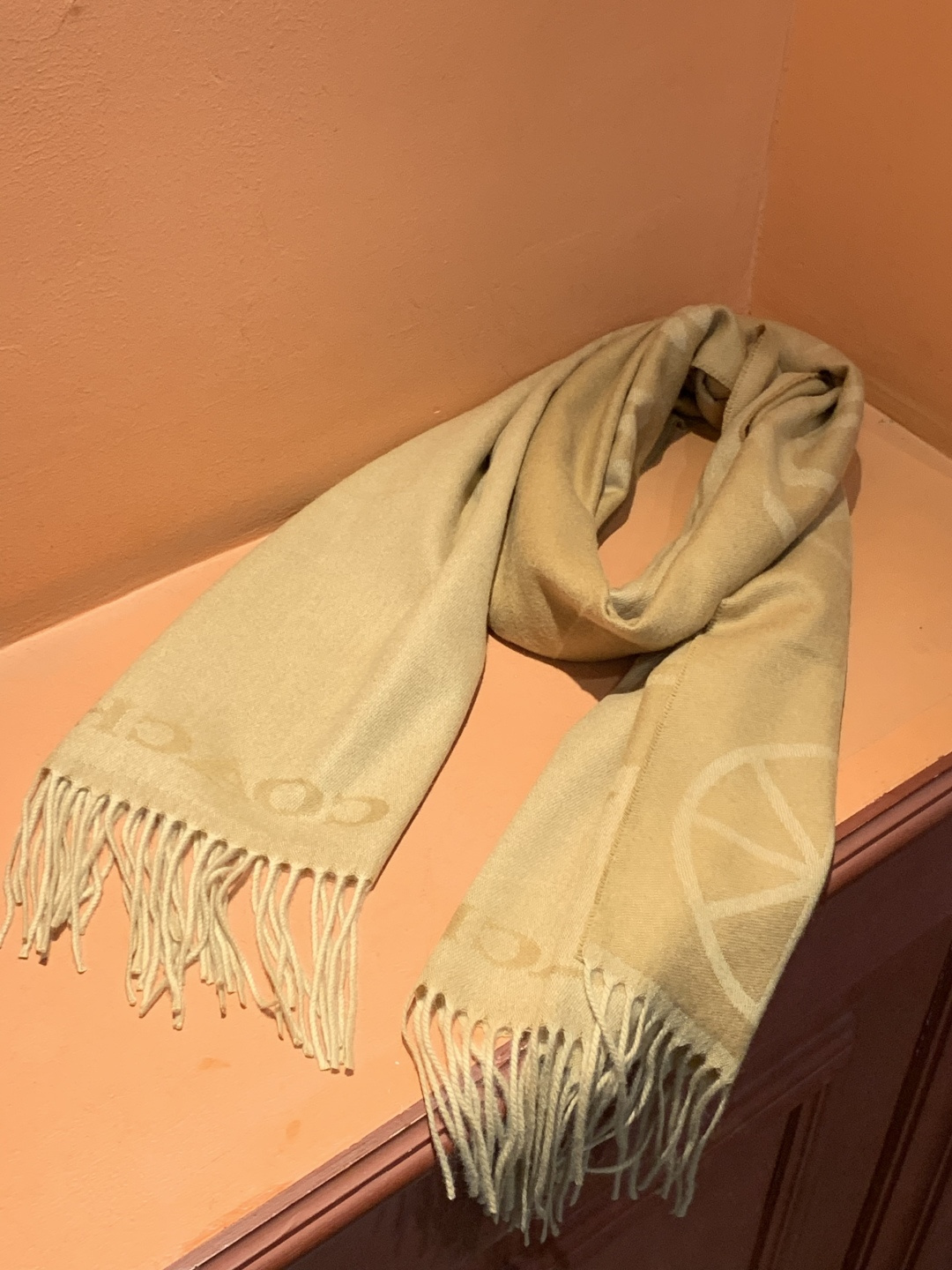 蔻驰 2025年新款到！Coach爆款！披肩也太好看了吧！不仅有颜值还有品质，手感超级软糯和舒服，尺寸1