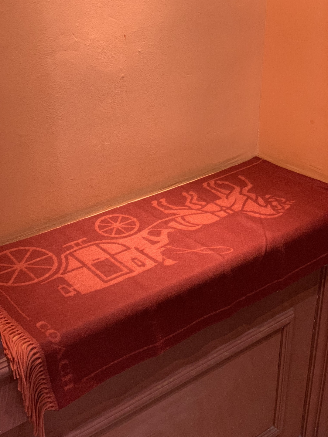 蔻驰 2025年新款到！Coach爆款！披肩也太好看了吧！不仅有颜值还有品质，手感超级软糯和舒服，尺寸1