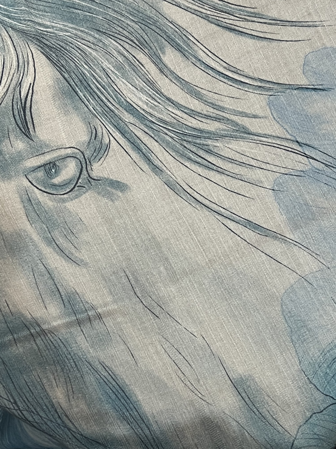 爱马仕～秋冬搭配利器❗️顶级双面同色 版真丝羊绒披肩！！1条等于2条】点睛精彩，图案和配色都超级喜欢，又