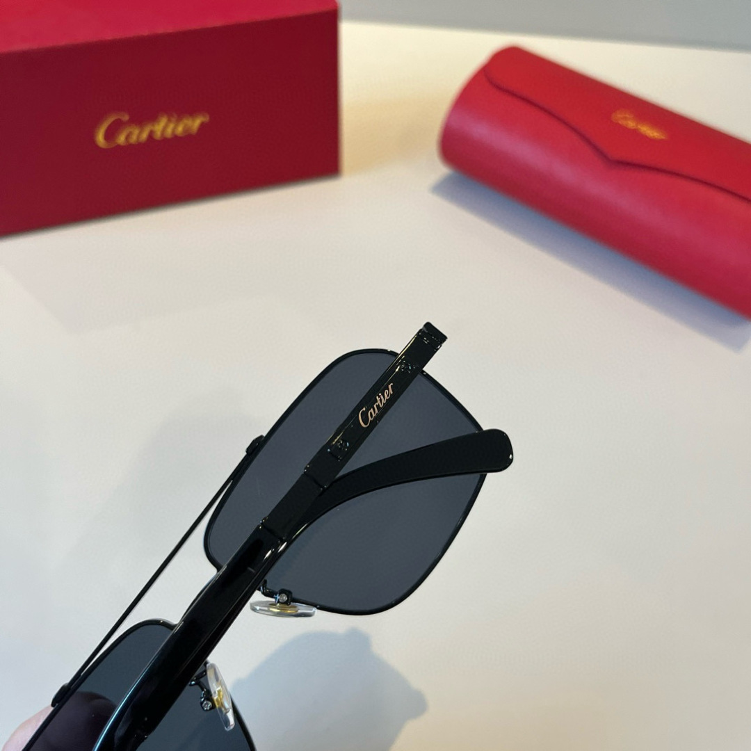 IT’S 280. CALTIE, CARTIER, PRECIOUS SUNGLASS METAL - 图片 8