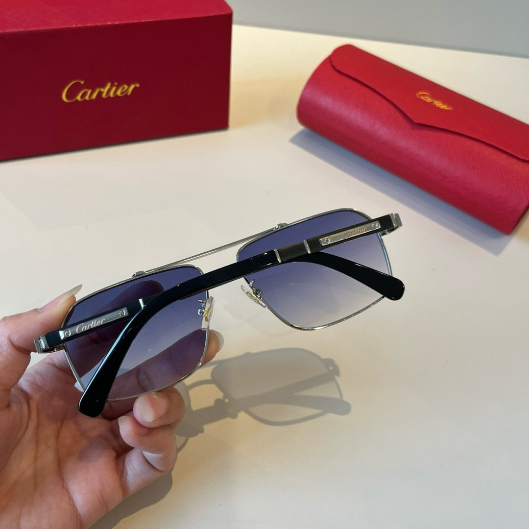 IT’S 280. CALTIE, CARTIER, PRECIOUS SUNGLASS METAL - 图片 7