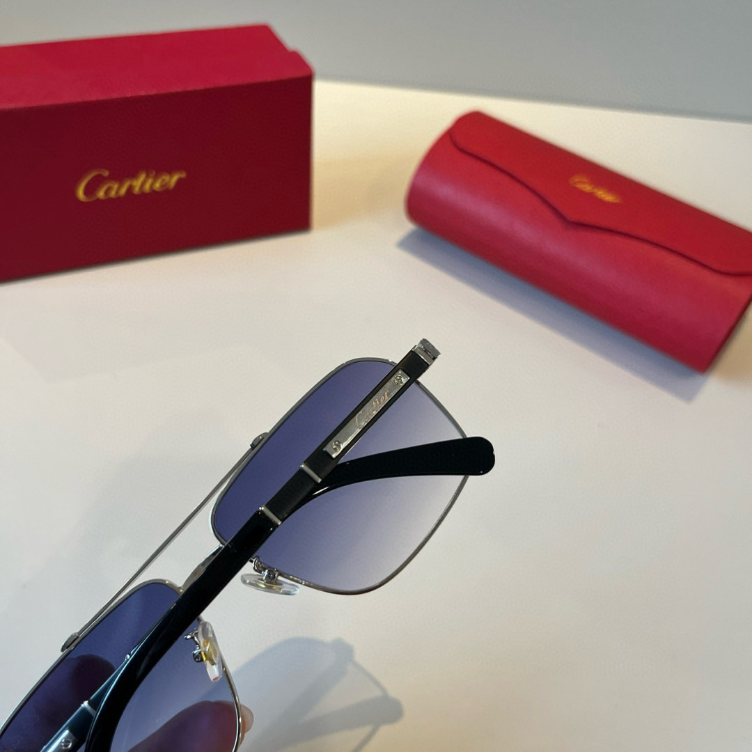 IT’S 280. CALTIE, CARTIER, PRECIOUS SUNGLASS METAL - 图片 8