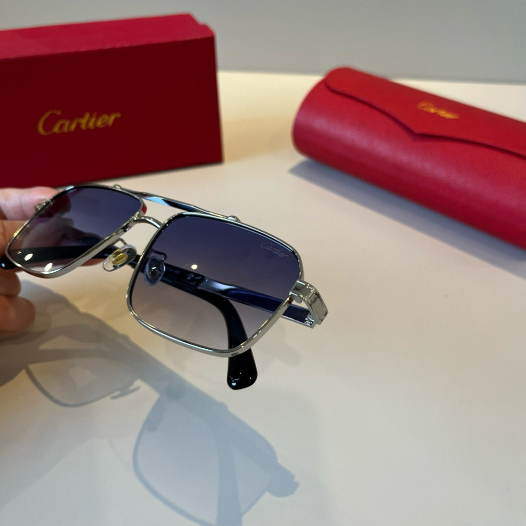 IT’S 280. CALTIE, CARTIER, PRECIOUS SUNGLASS METAL - 图片 9